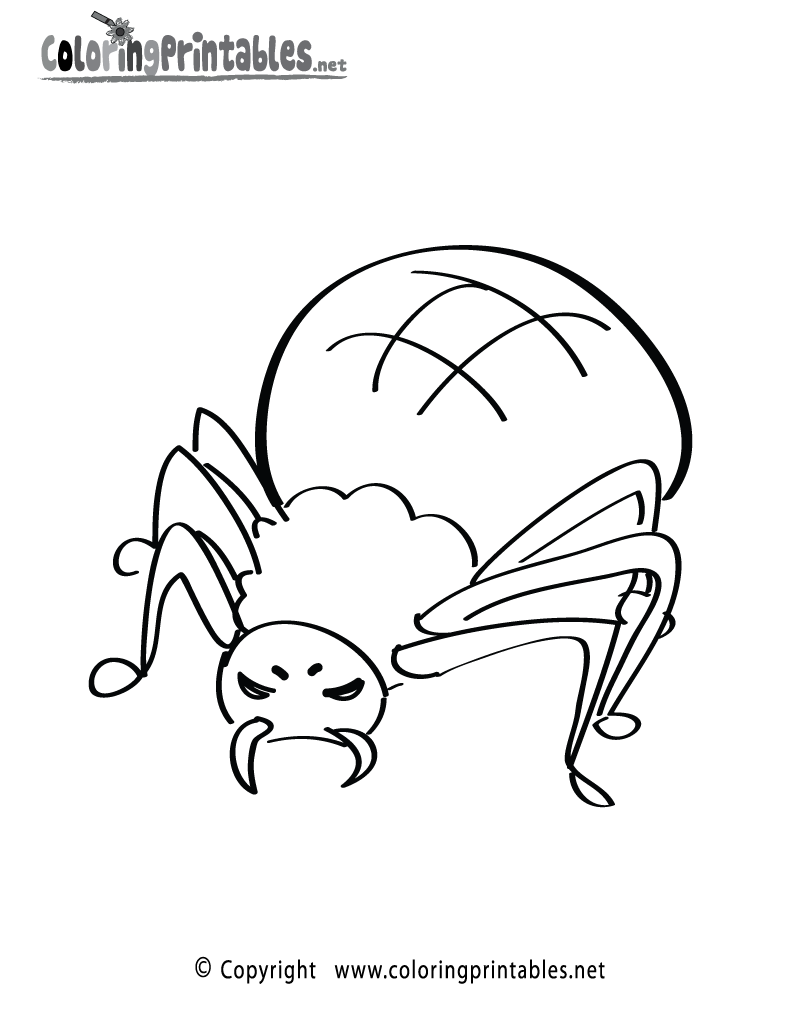 Spider Coloring Page Printable