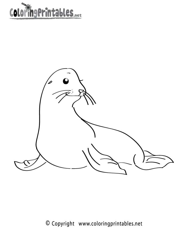 california sea lion coloring pages - photo #19