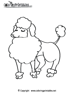 Poodle Coloring Page