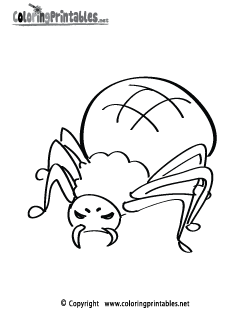 Spider Coloring Page