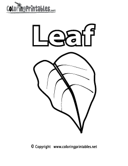 Vocabulary Leaf Coloring Page