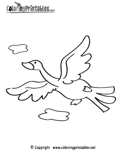 Bird Coloring Page