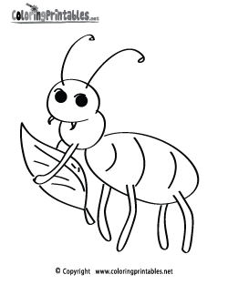 Fun Insect Coloring Page