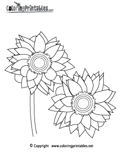 Sun Flower Coloring Page