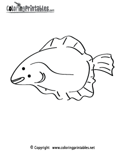 Flounder Coloring Page