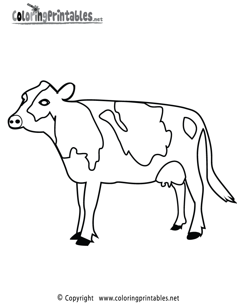 coloring pages of cows free printable