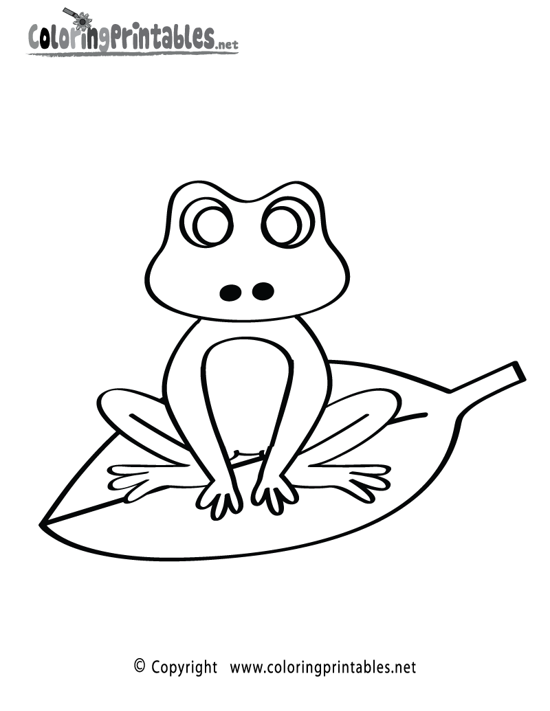 Free Printable Frog Coloring Page