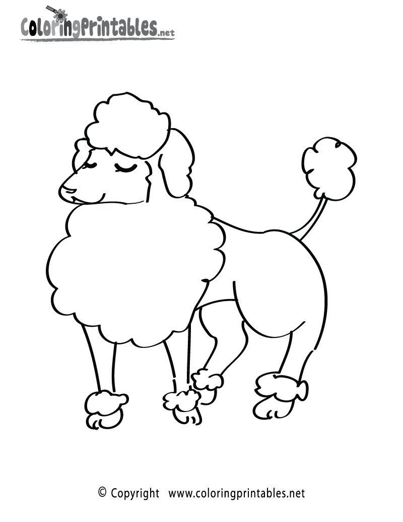 Poodle Coloring Page Printable.