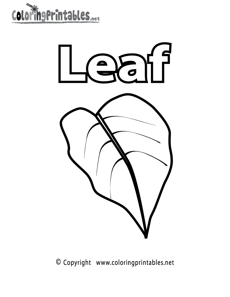 Vocabulary Leaf Coloring Page - A Free Educational Coloring Printable