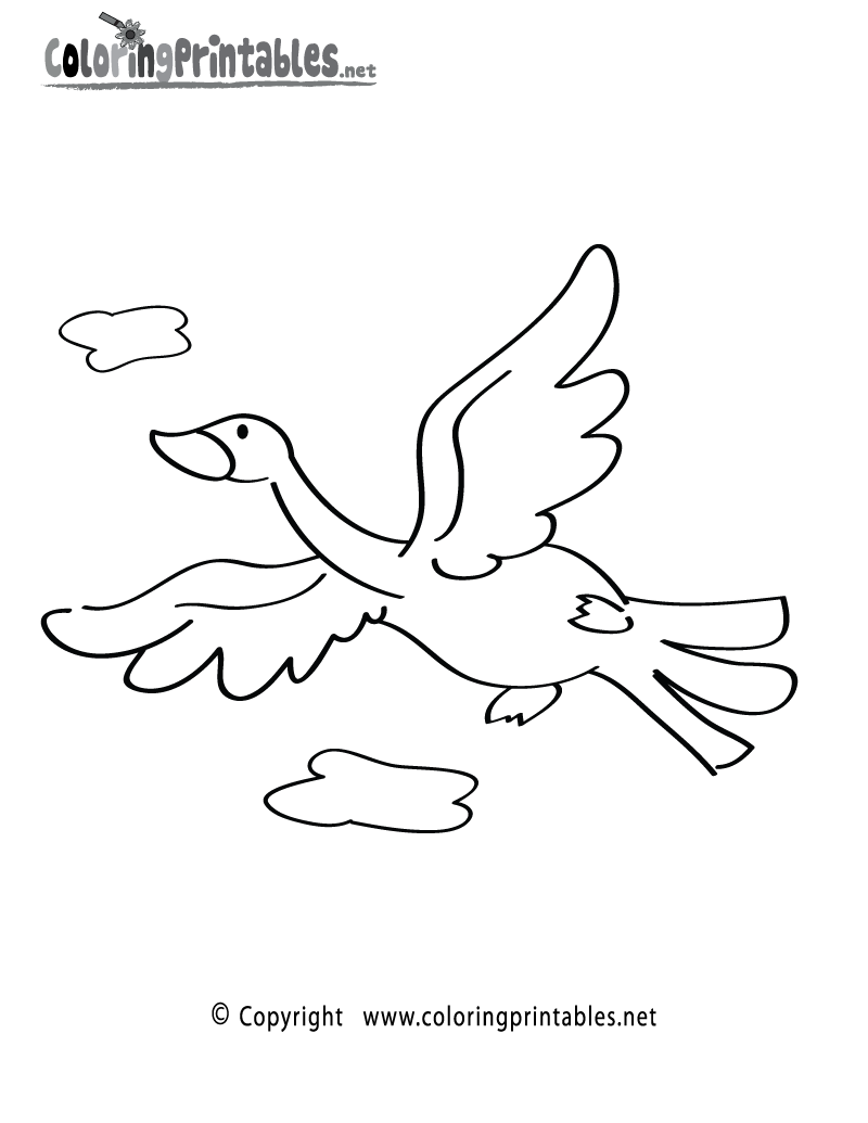 Bird Coloring Page Printable.