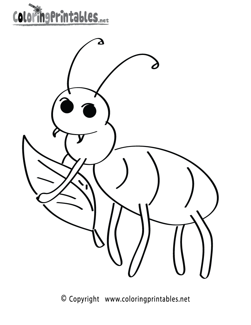 Fun Insect Coloring Page Printable.