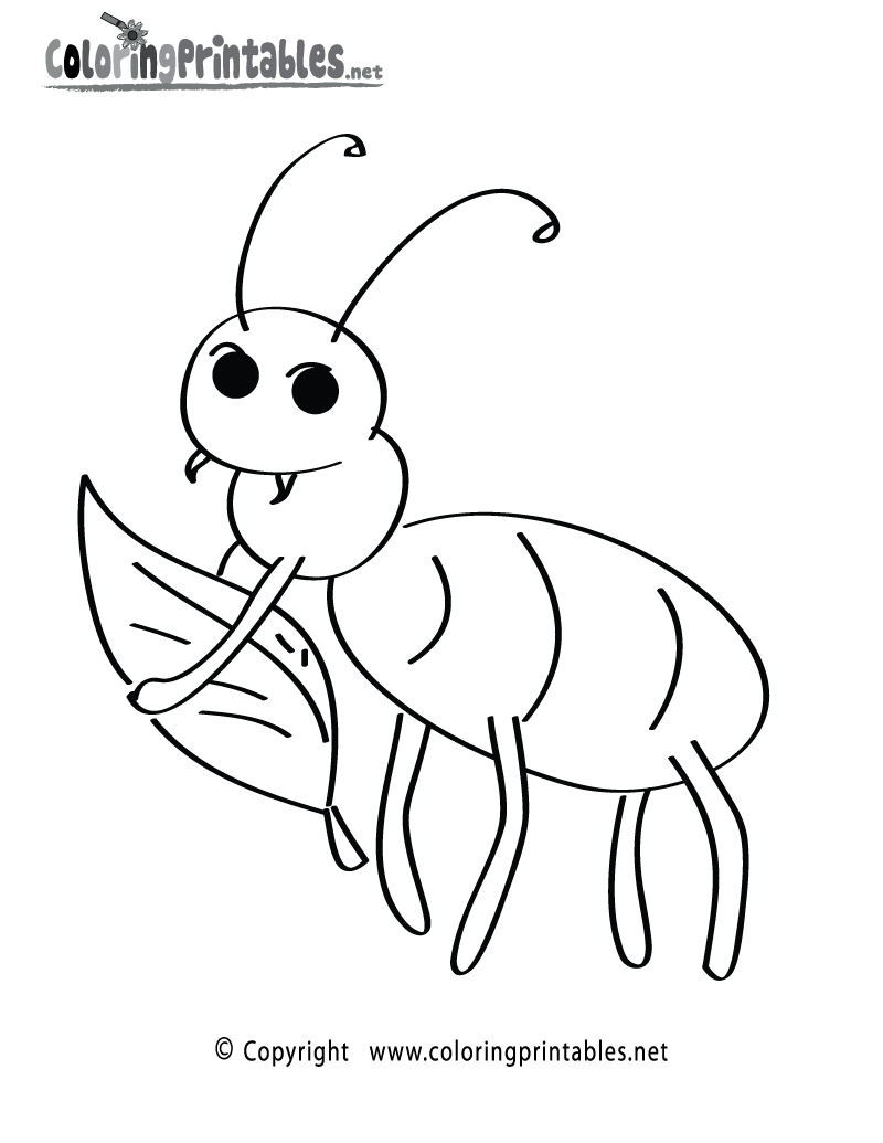 Fun Insect Coloring Page - A Free Nature Coloring Printable