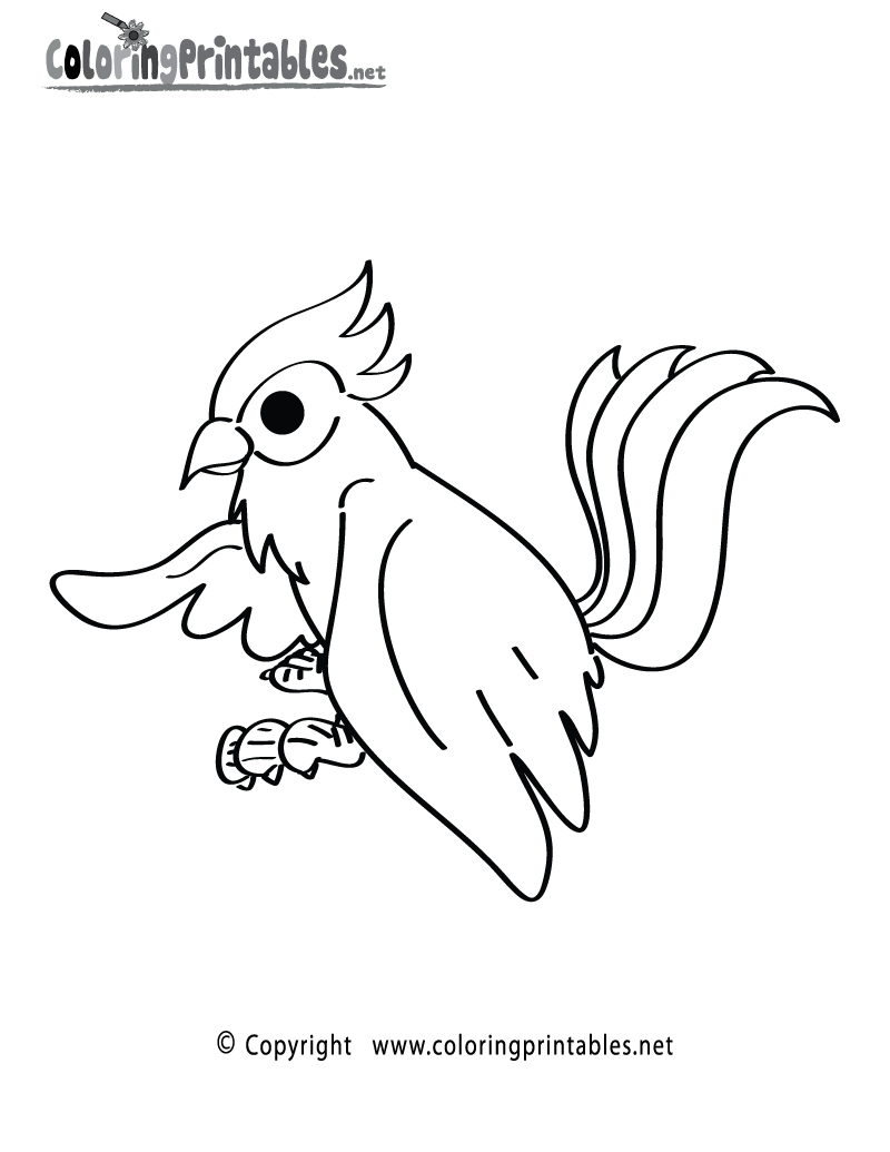 Jungle Bird Coloring Page Printable.