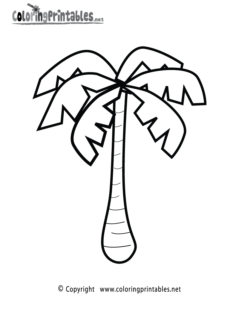 Palm Tree Coloring Page Printable.