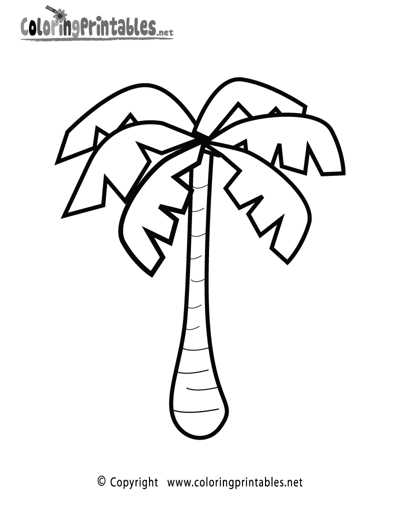 Palm Tree Coloring Page A Free Nature Coloring Printable