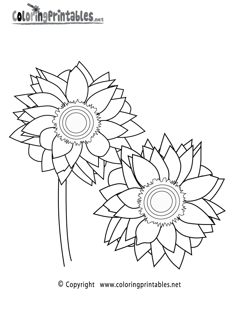 Sunflower Coloring Page Printable.