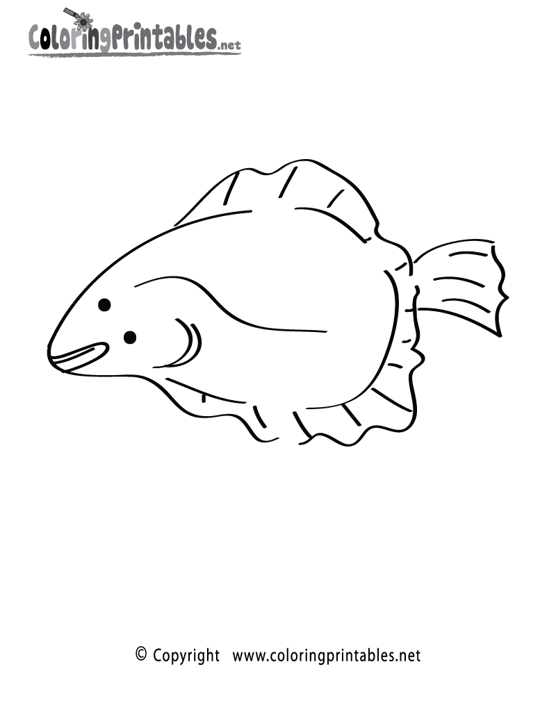Flounder Fish Coloring Page Printable.