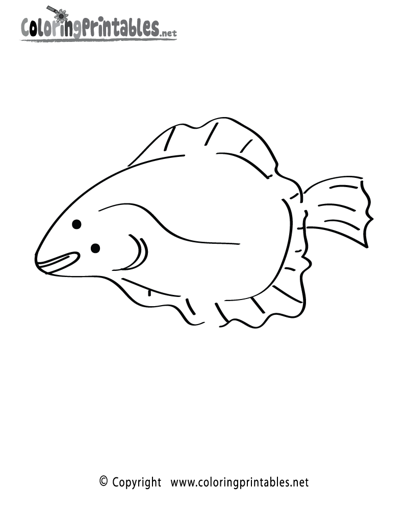 Flounder Fish Coloring Page - A Free Ocean Coloring Printable