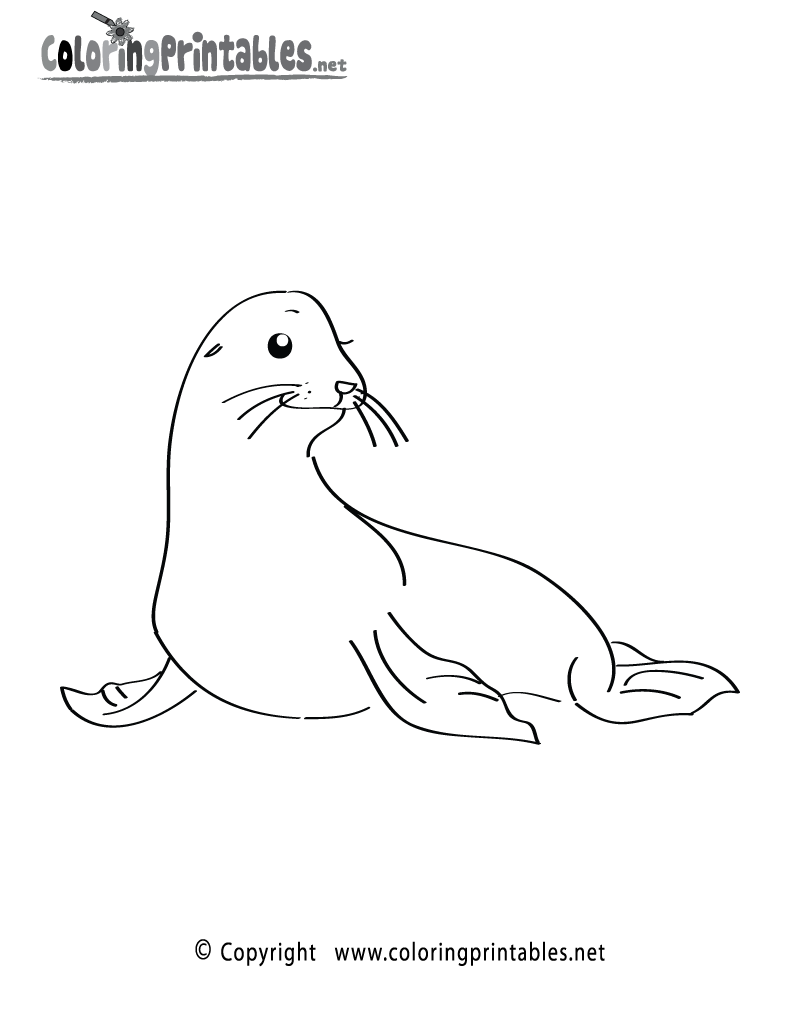 sea lion coloring page a free ocean coloring printable