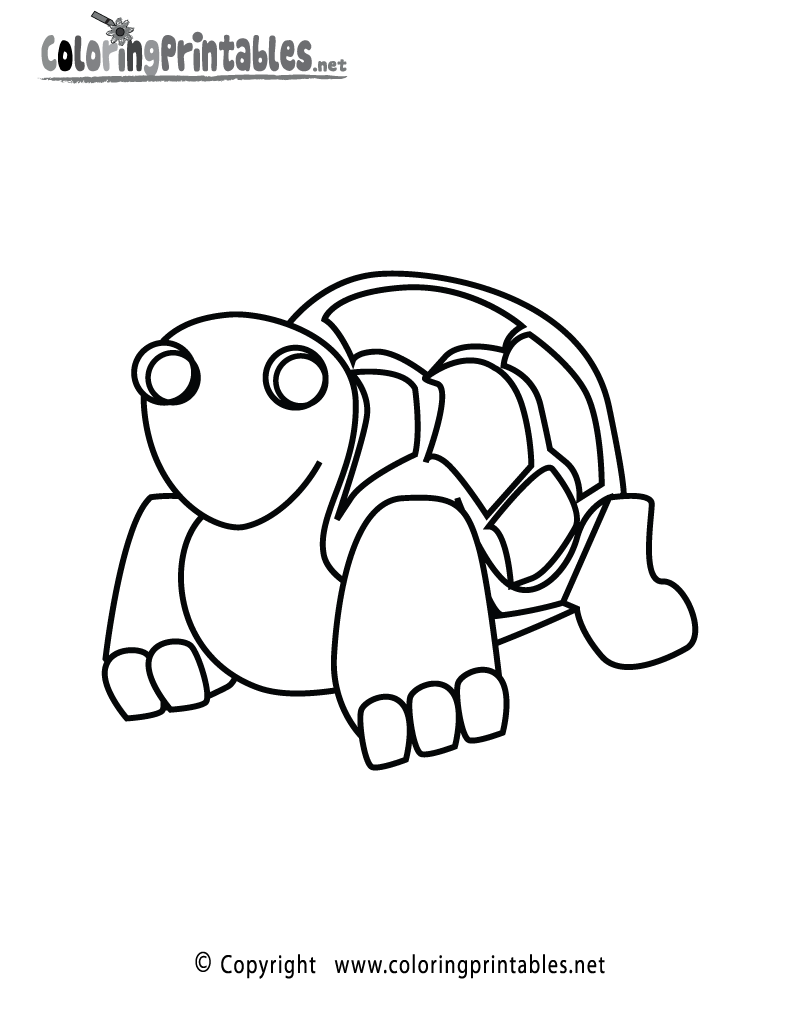 Turtle Coloring Page Printable.