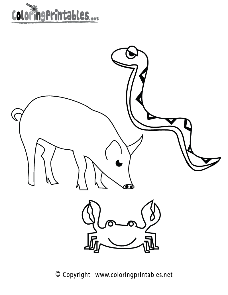 Biology Coloring Page A Free Science Coloring Printable Biology Coloring Page A Free Science Coloring Printable