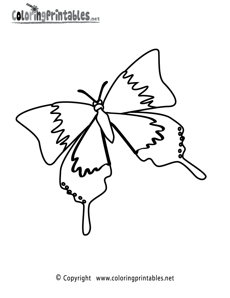 Spring Butterfly Coloring Page - A Free Seasonal Coloring Printable